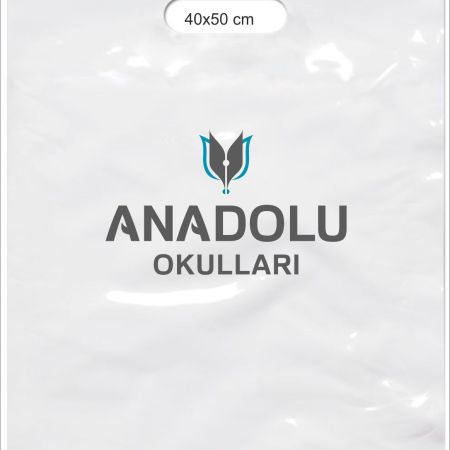 ANADOLU OKULLARI 2