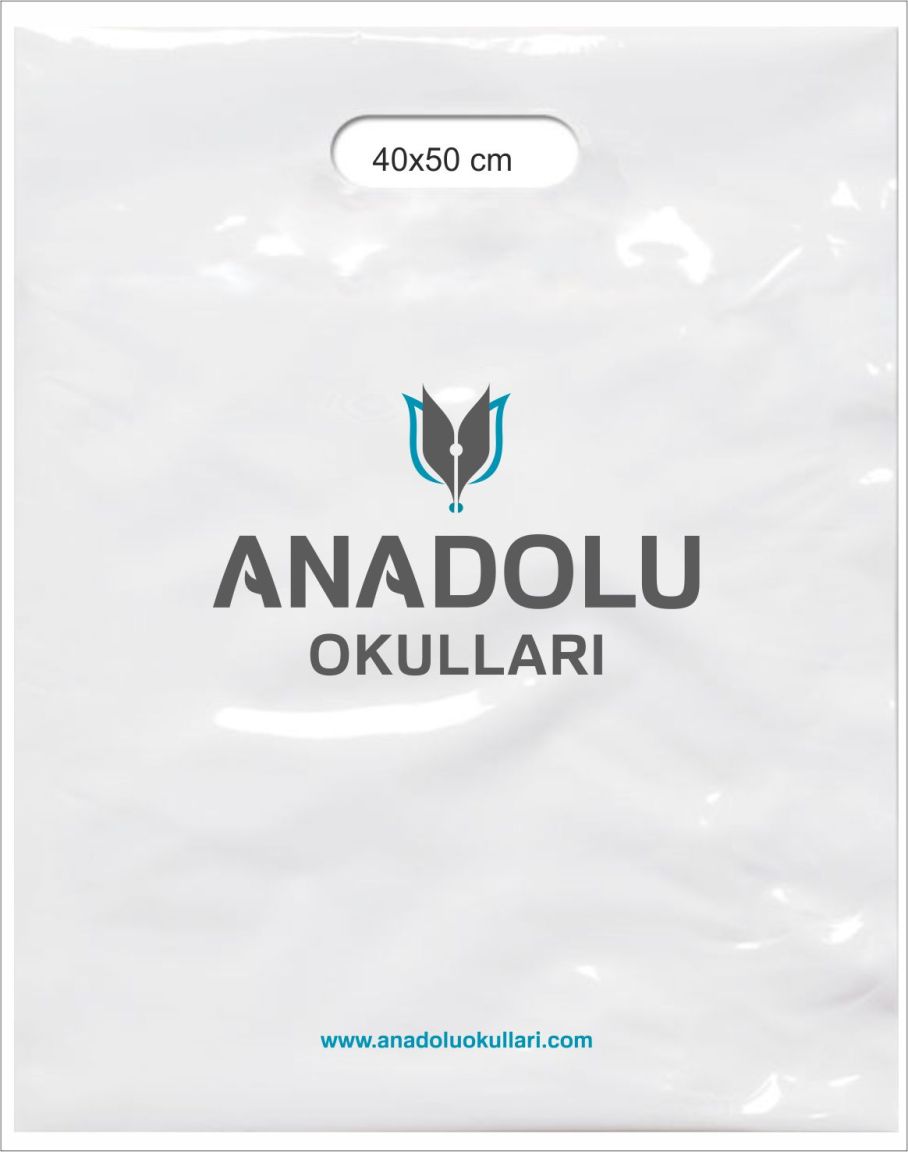 ANADOLU OKULLARI 2
